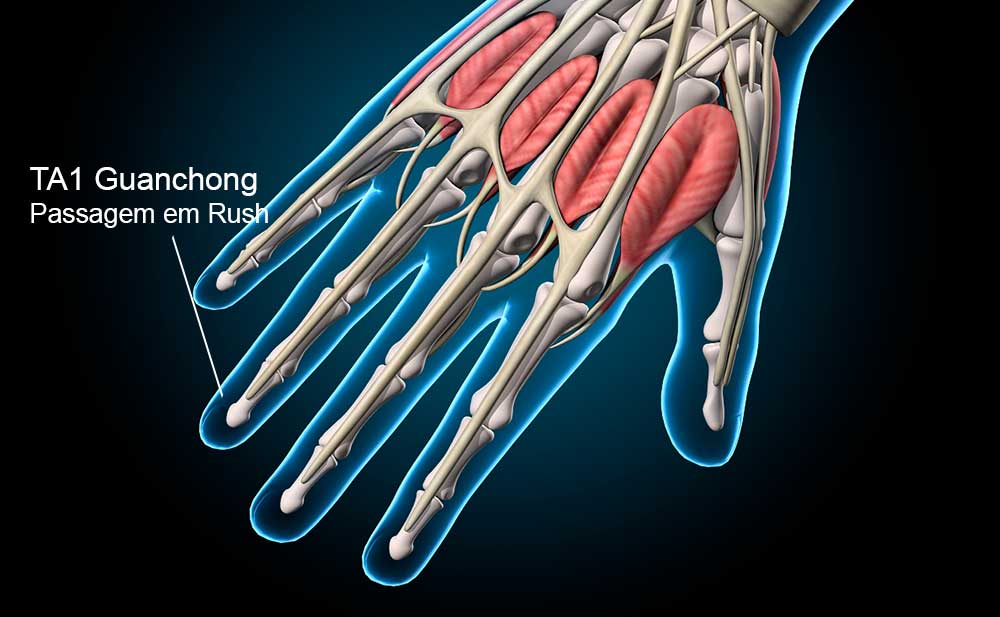 Ponto TA1 Guanchong na extremidade ulnar do dedo anular