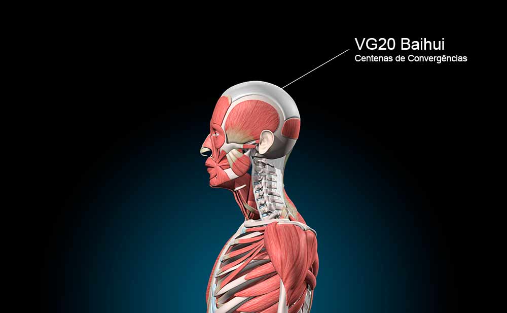 Imagem do ponto VG20 no Vaso Governador.