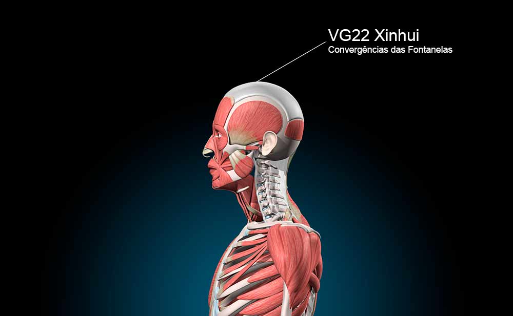 Imagem do ponto VG22 no Vaso Governador.