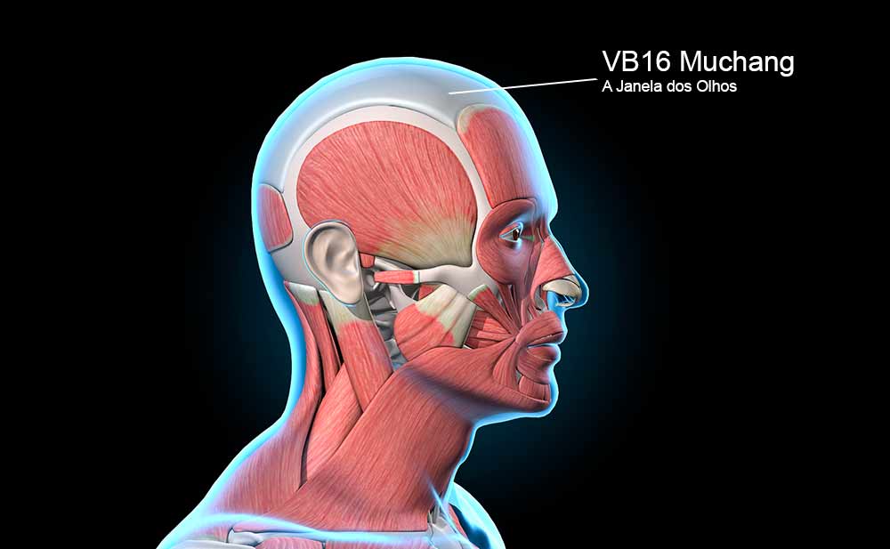 Ponto VB16 no meridiano da Vesícula Biliar.