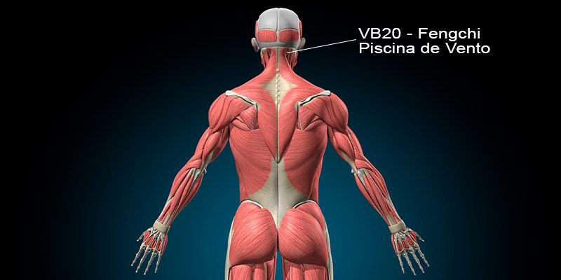 Ponto VB20 no meridiano da Vesícula Biliar.