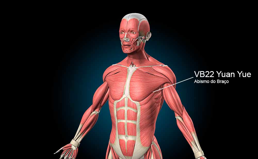 Ponto VB22 no meridiano da Vesícula Biliar.