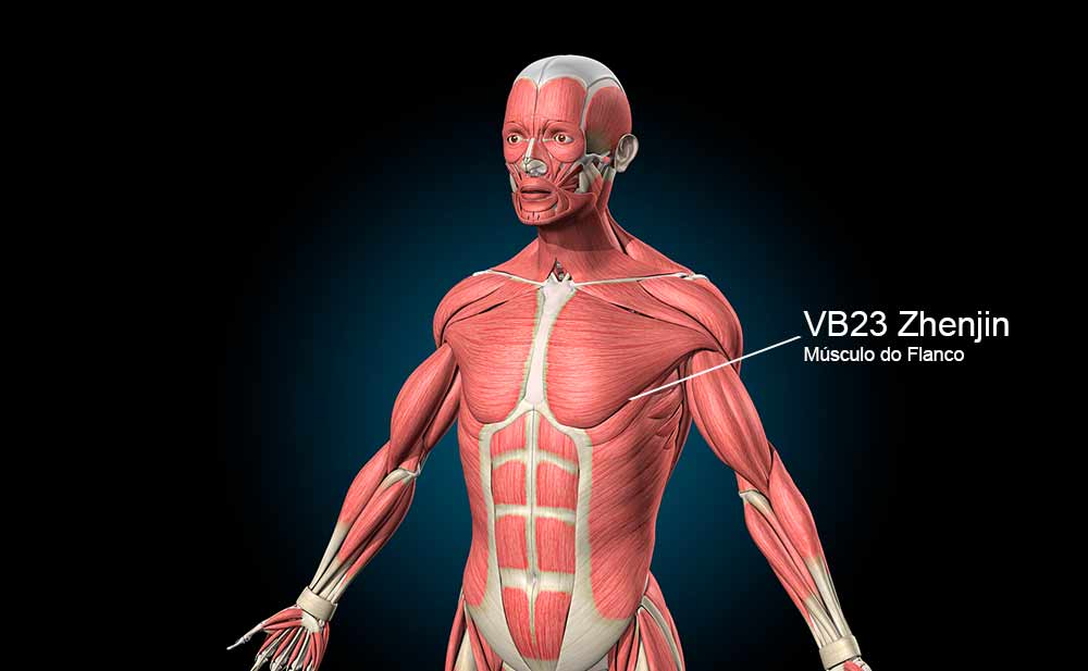Ponto VB23 no meridiano da Vesícula Biliar.