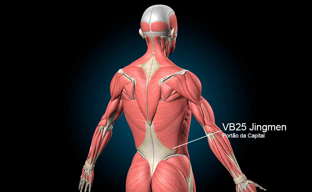 Ponto VB25 no meridiano da Vesícula Biliar.