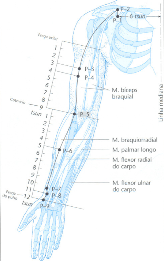 Ponto de acupuntura P5