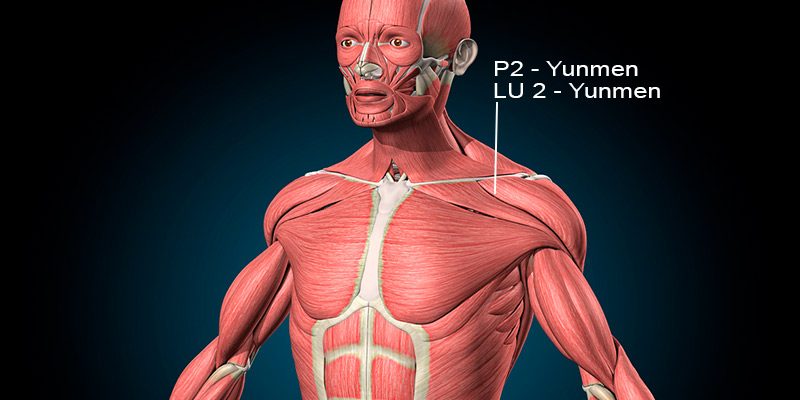 Localização do P2 acupuntura Yunmen