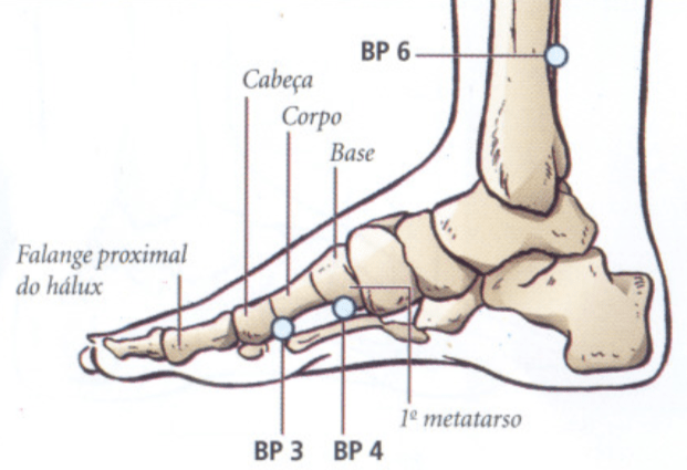 ponto BP4 acupuntura