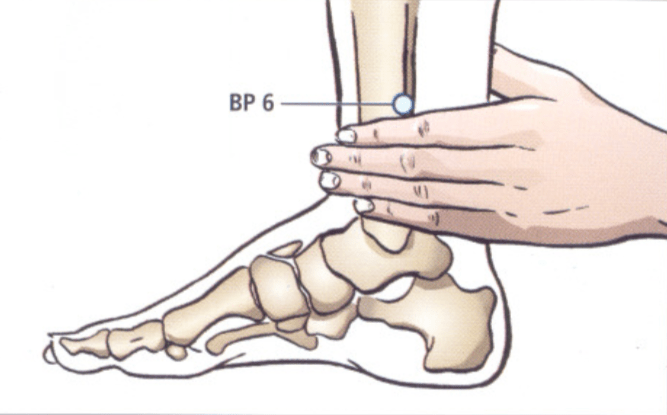 BP6 acupuntura Han Ulrich