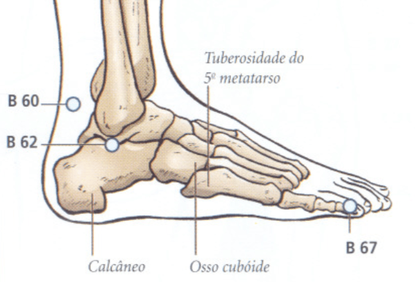 B60 Acupuntura