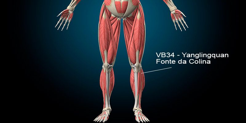 VB34 acupuntura