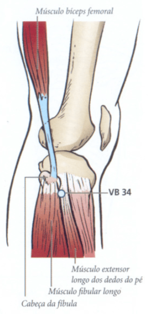 VB34 acupuntura Localização