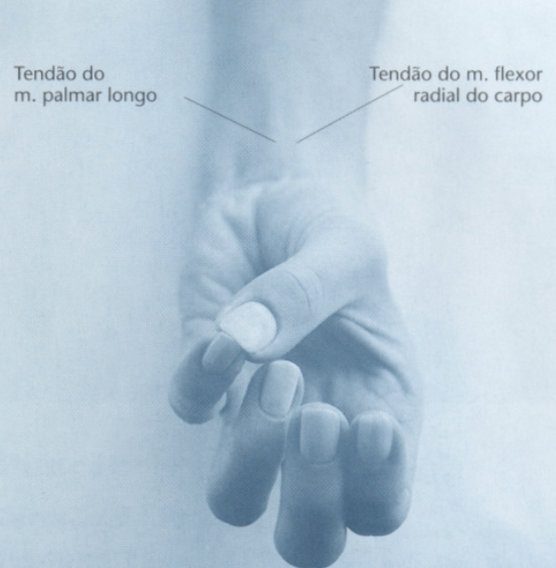 CS6 ponto acupuntura neiguan localização