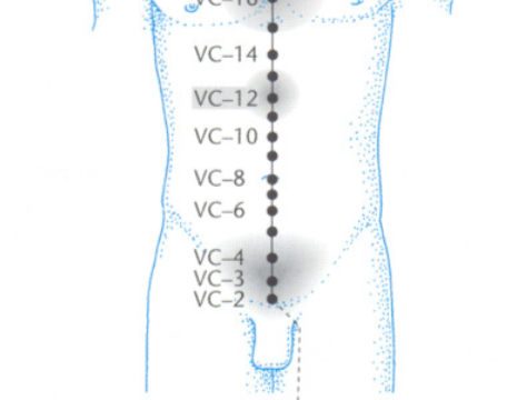 vc12 acupuntura Claudia Focks