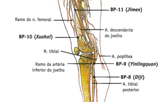 como encontrar ponto BP10 acupuntura
