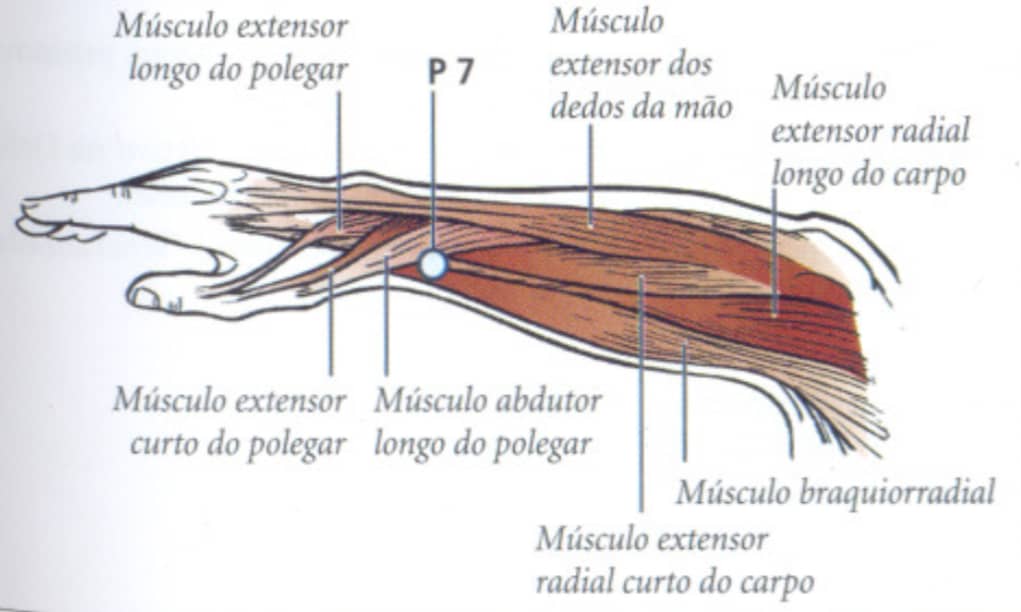 ponto p7 acupuntura