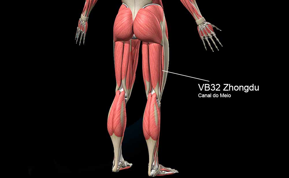 VB32 acupuntura