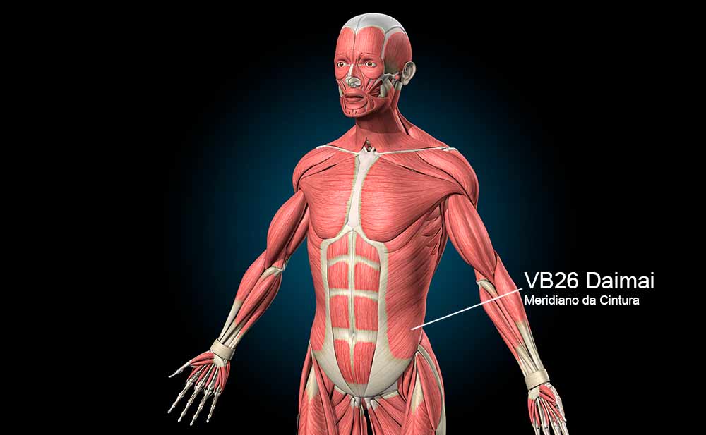 VB26 acupuntura
