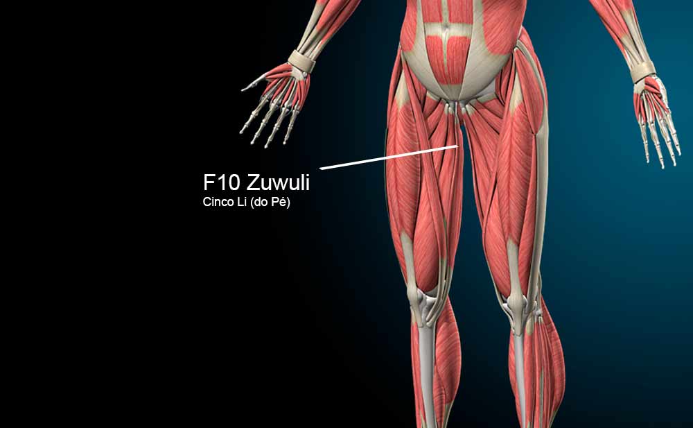 F10 Acupuntura