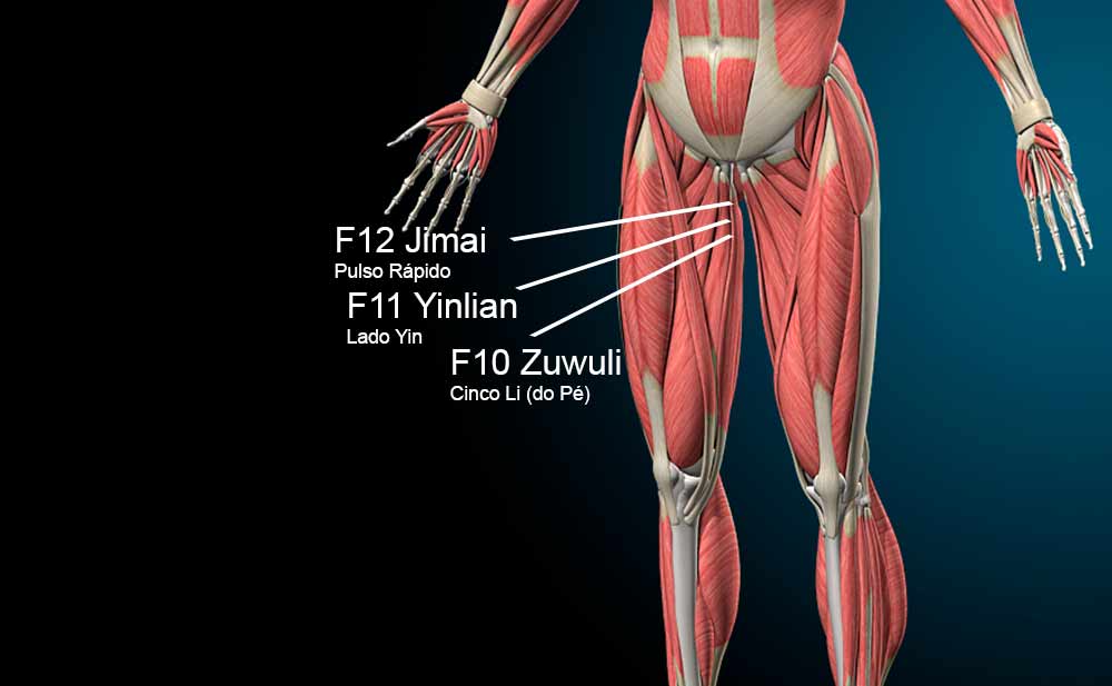 F12 Acupuntura