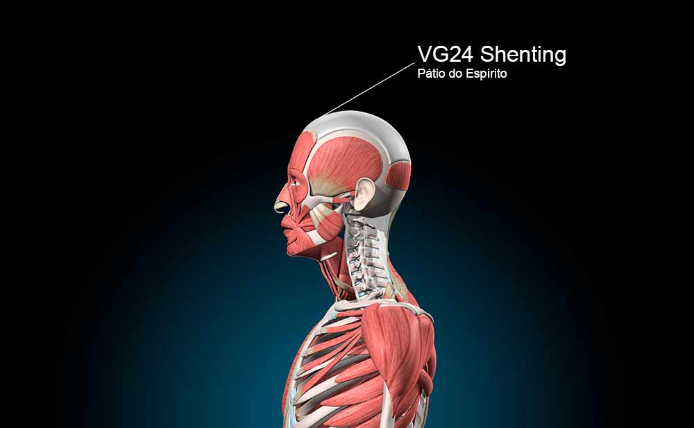 VG24 Acupuntura