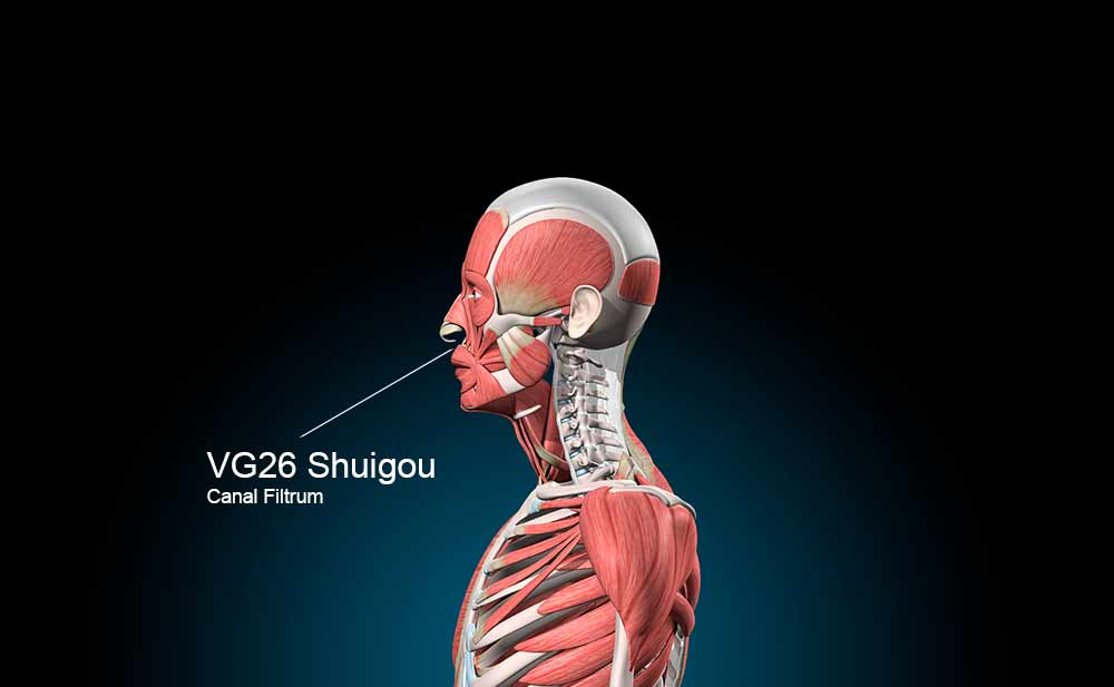 VG26 Acupuntura
