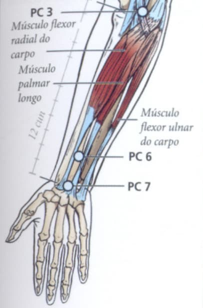 CS3 acupuntura localização